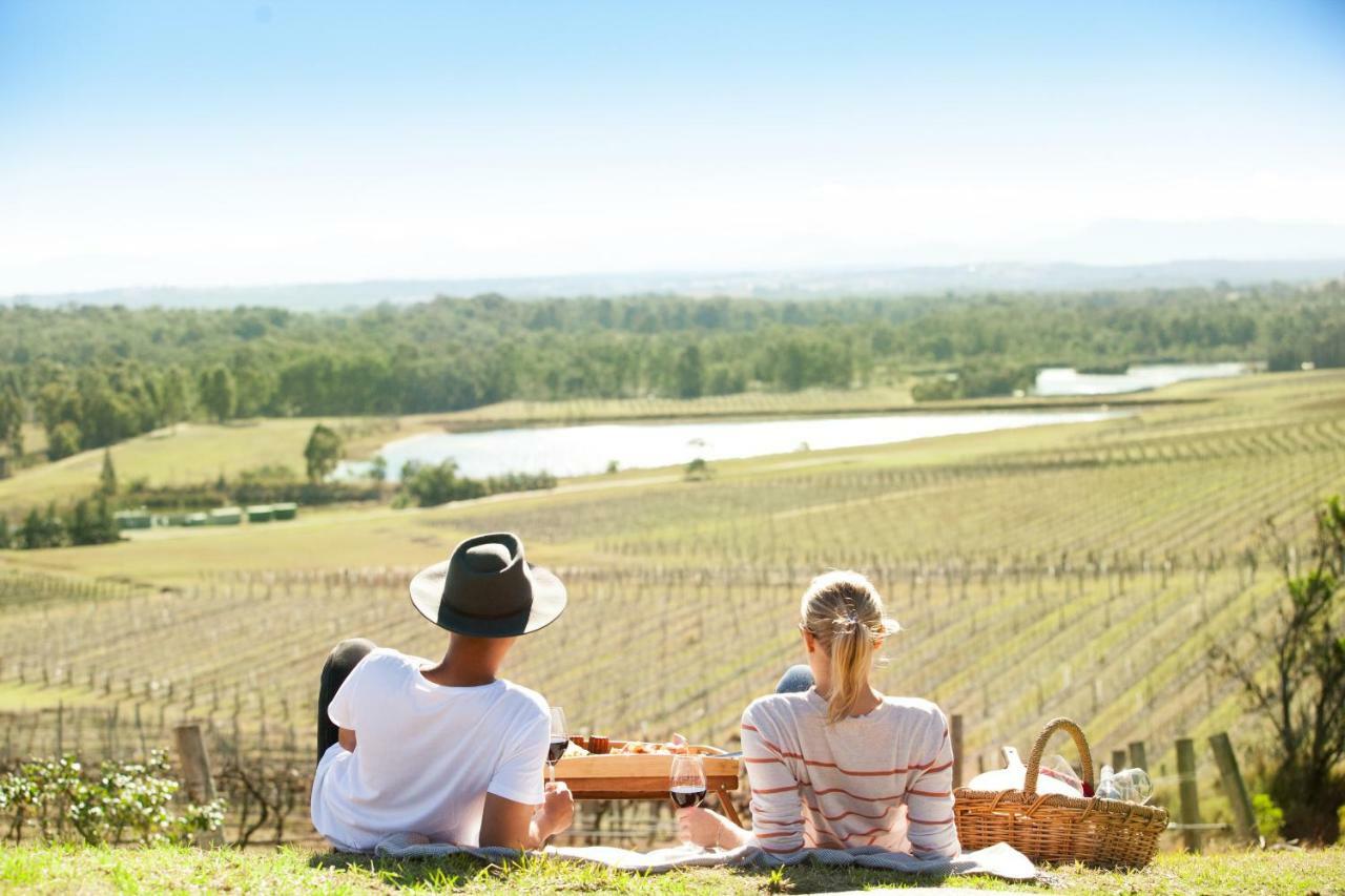 Pensjonat Audrey Wilkinson Vineyard Pokolbin Zewnętrze zdjęcie