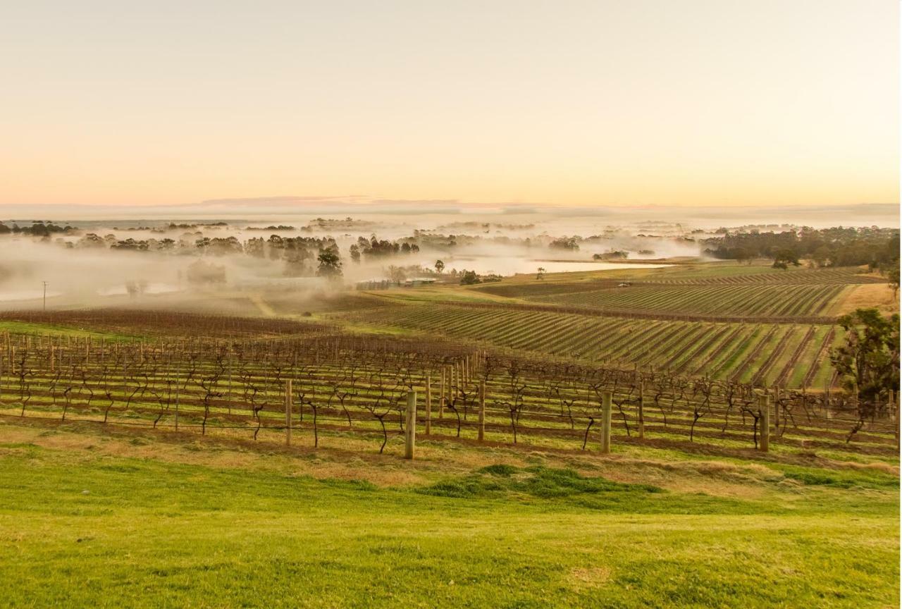 Pensjonat Audrey Wilkinson Vineyard Pokolbin Zewnętrze zdjęcie